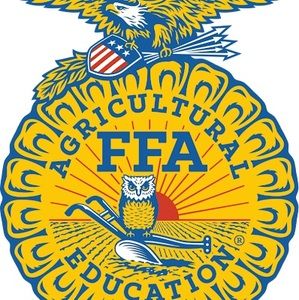 Meet your Posher, Ivy